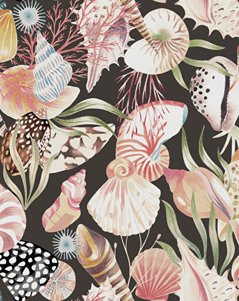 Coquillage Dark Wallpaper - Wallpaper | Devon&Devon