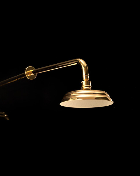 Swan Shower rose and arm - Bathroom Taps | Devon&Devon