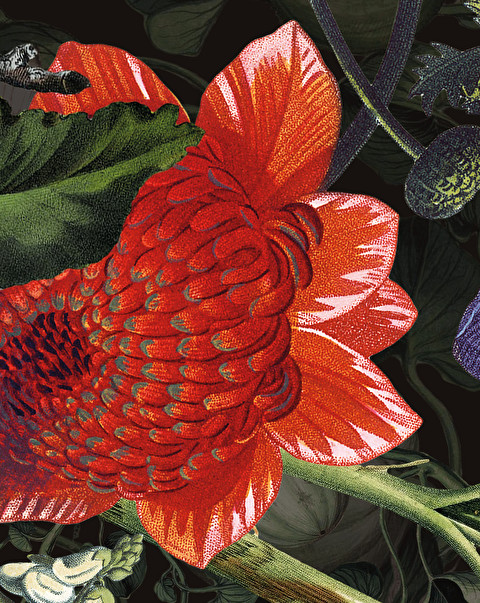 Botanica Dark Wallpaper - Floorings & Wall Coverings | Devon&Devon