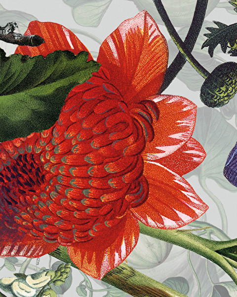 Botanica Grey Wallpaper - Floorings & Wall Coverings | Devon&Devon