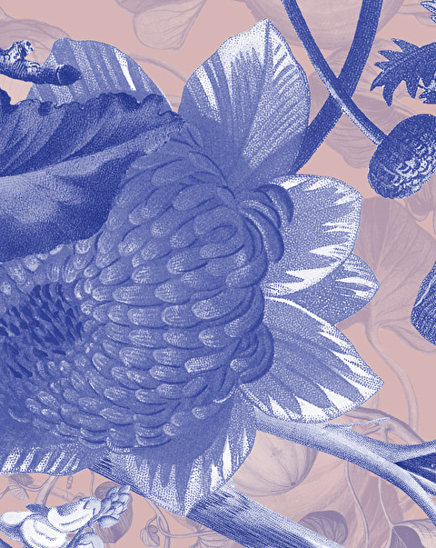 Papier peint Botanica Makeup - Velluto | Botanique Eclectique, Bologna | Devon&Devon