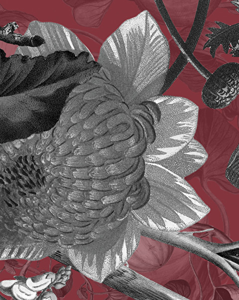 Botanica Wine Wallpaper - Floorings & Wall Coverings | Devon&Devon