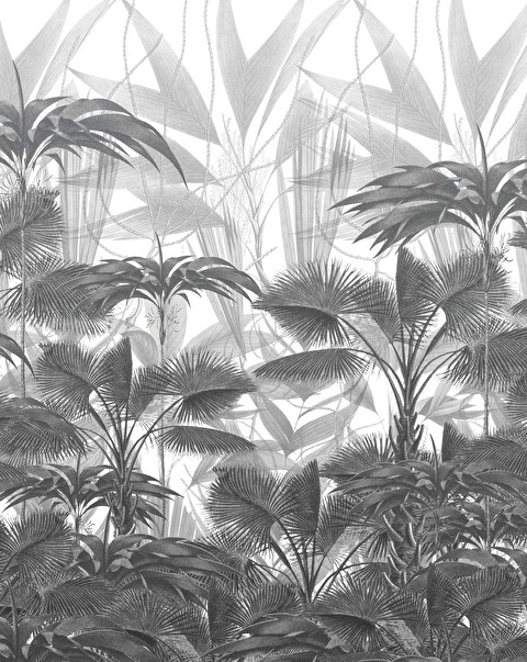 Casablanca Black&White Wallpaper - Wallpaper | Devon&Devon