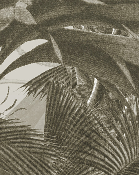 Casablanca Canvas Wallpaper - Floorings & Wall Coverings | Devon&Devon