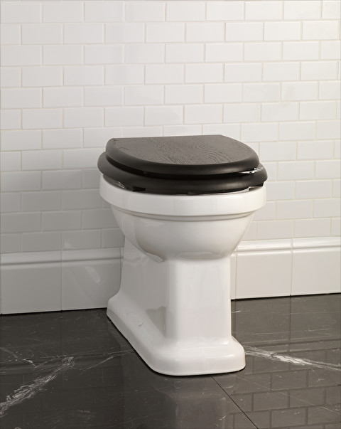 Toilette BTW Blues - WC suspendus et posés | Devon&Devon