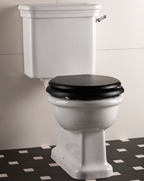 Toilette Etoile - WC suspendus et posés | Devon&Devon