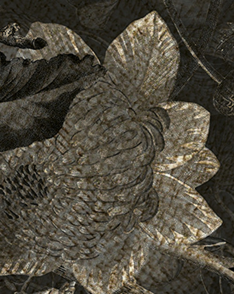 Devon&Devon Wallpaper Collection - deluxe wallpapers