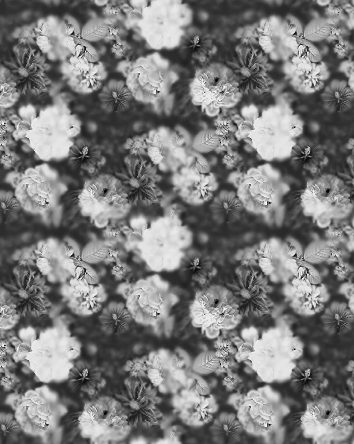 Blossom Black&White Wallpaper | Deluxe Design by Devon&Devon