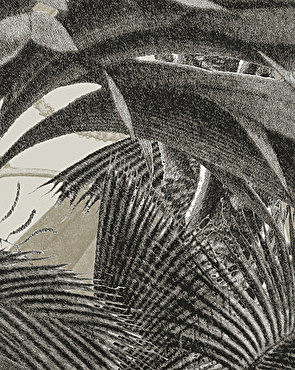 Tapete Casablanca Coffee