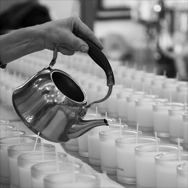 Bellezza e sostenibilità